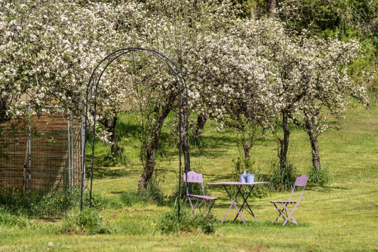 Bed and Breakfast Domaine Mon Doux Reve Террассон Экстерьер фото